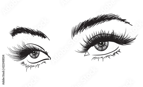 Hand-drawn woman's luxurious eye with perfectly shaped eyebrows and full lashes. Idea for business visit card, typography vector. Perfect salon look.