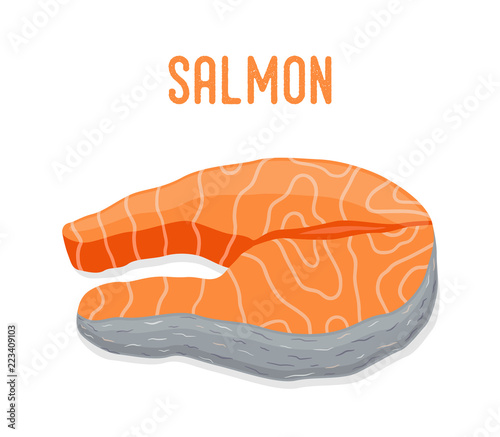 Vector salmon seafood. Fresh fish, orange fillet