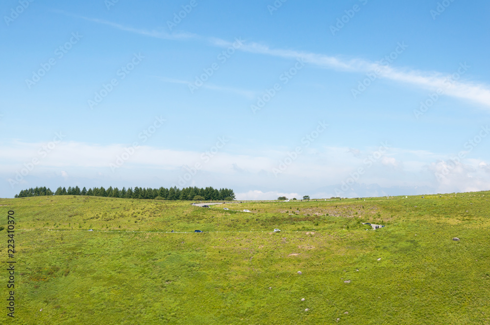 Green field landscape with a lonely tree on the right and clouds on the sky Green field landscape with a lonely tree on the right and clouds on the sky