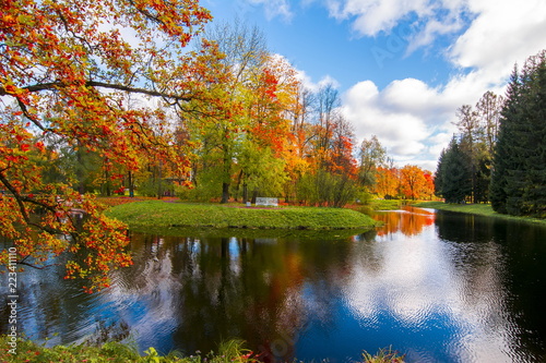 Autumn foliage in Catherine park  Pushkin  Saint Petersburg  Russia