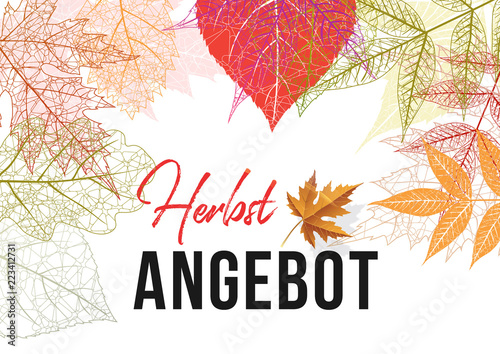 Herbstangebote Banner Hintergrund.