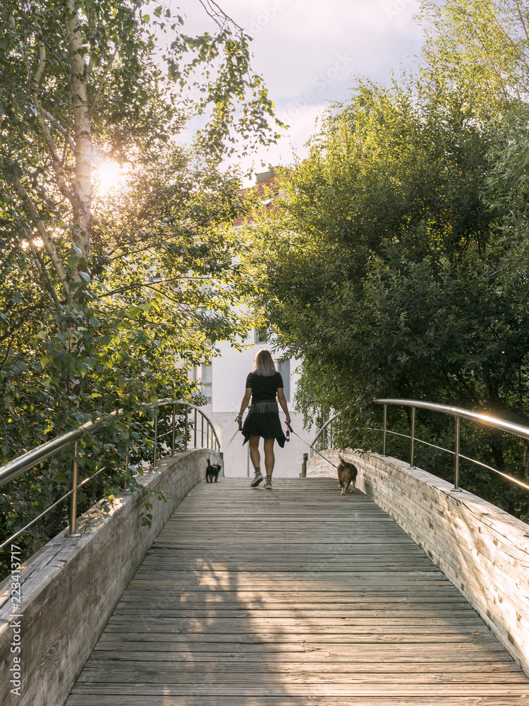 Woman walking with two dogs on a bridge. Leisure activities