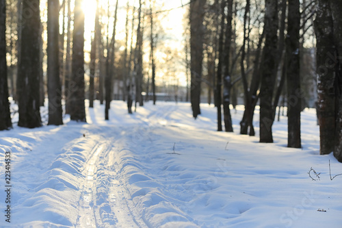 Winter landscape snow covered expanses. A park in the winter in 