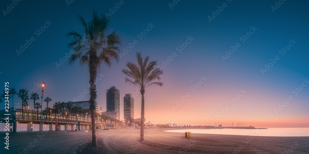 Obraz premium Dramatic sunrset on beach of Barcelona with palm