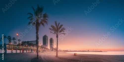 Dramatic sunrset on beach of Barcelona with palm © boule1301