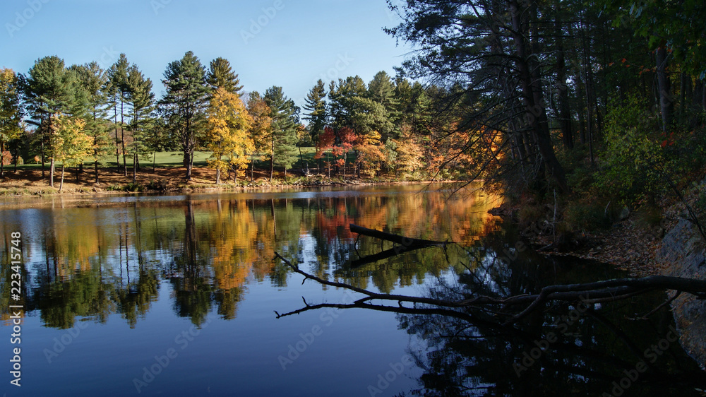 Beautiful scene of the colorful foliage of the trees in autumn fall season reflection in the black water river