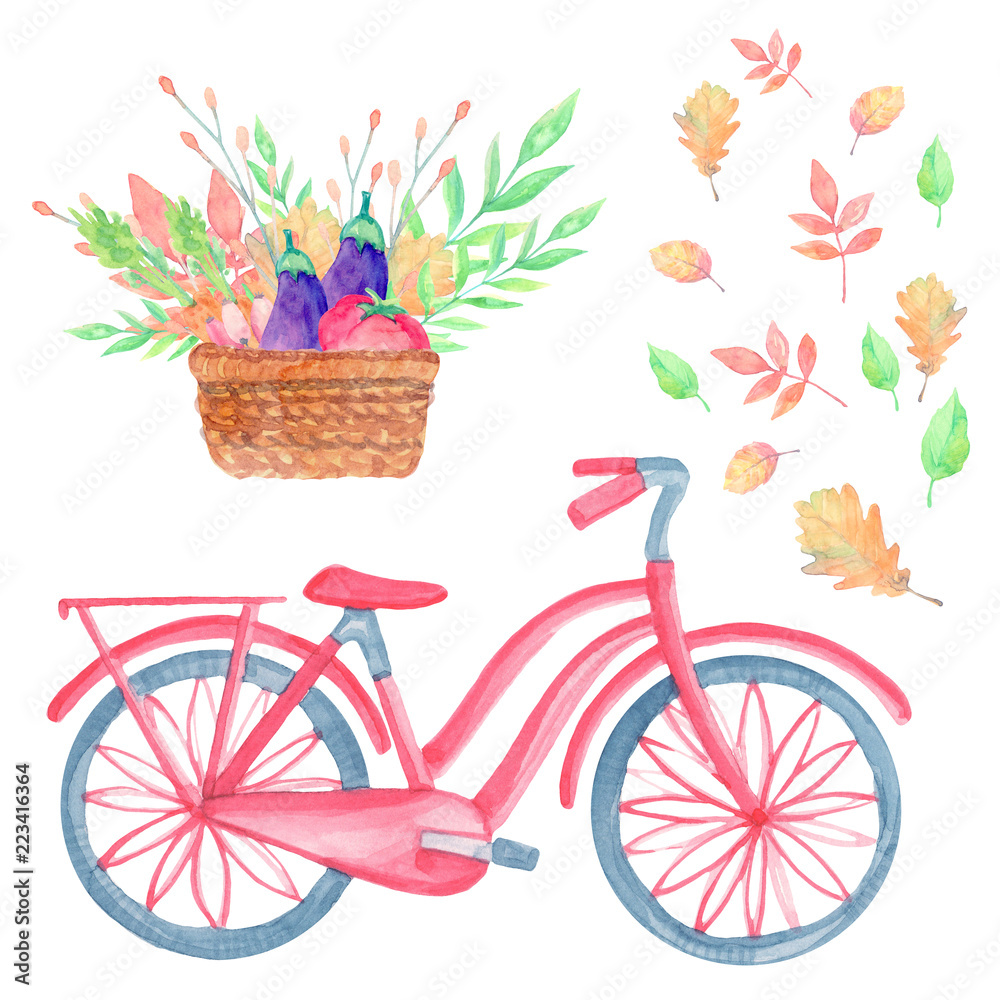 set of cartoon watercolor bike autumn harvest, fallen leaves, basket with vegetables, eggplant, tomato on green background