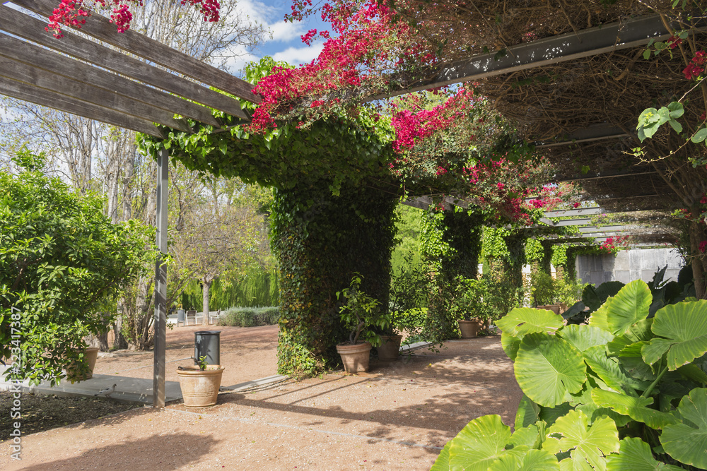 Obraz premium Umbráculo