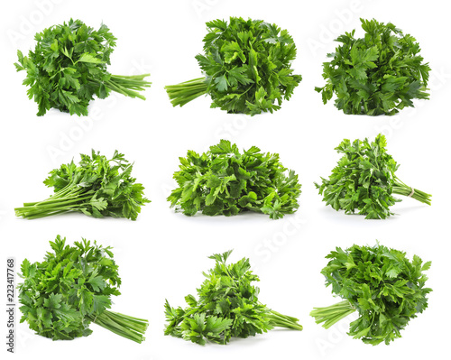 Set of fresh green parsley on white background
