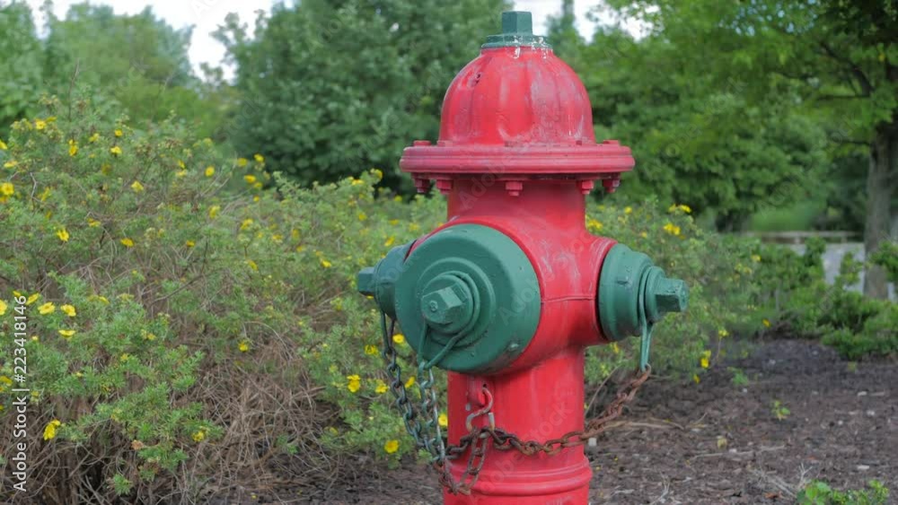 Red and green fire hydrant surrounded by trees and plants Red and green fire hydrant surrounded by trees and plants