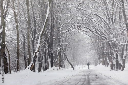 Snow-covered winter park and benches. Park and pier for feeding 