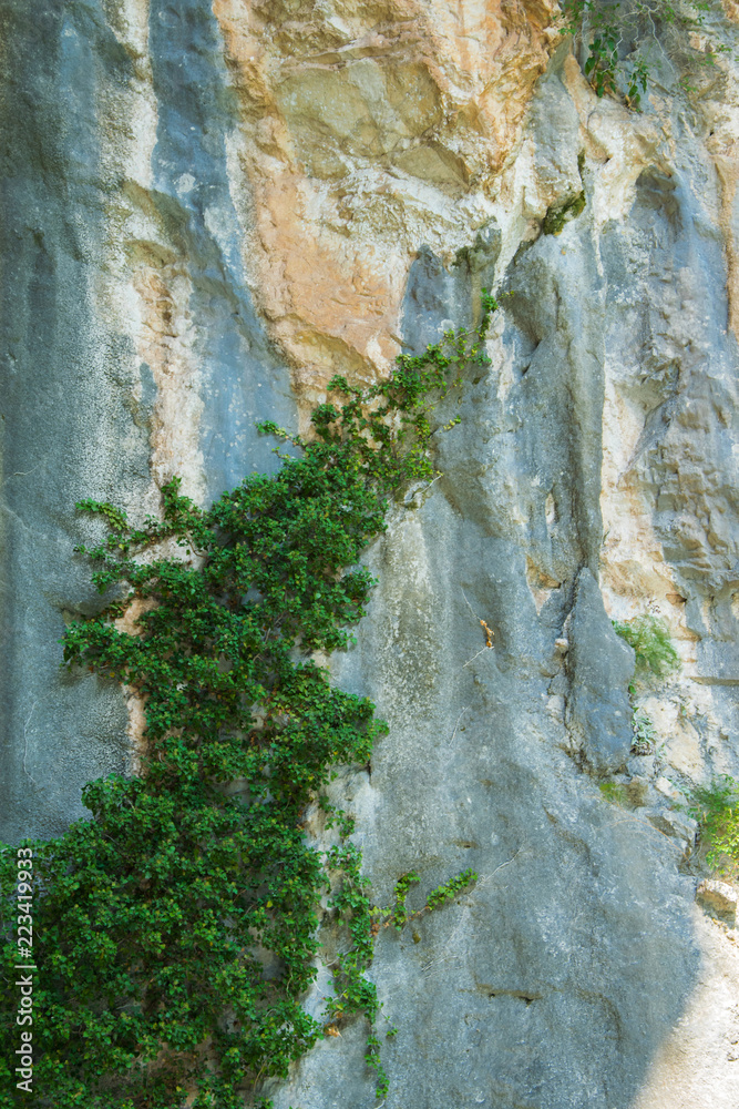 Obraz premium Natural background of solid rough stone wall