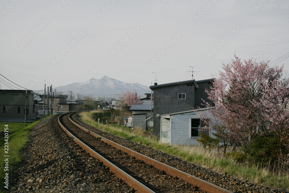 春の斜里岳 春の斜里岳