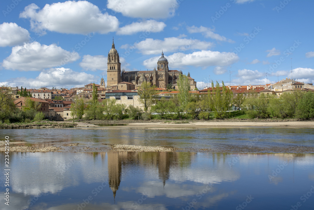 vista de las catedrales de Salamanca,  desde el rio Tormes. 