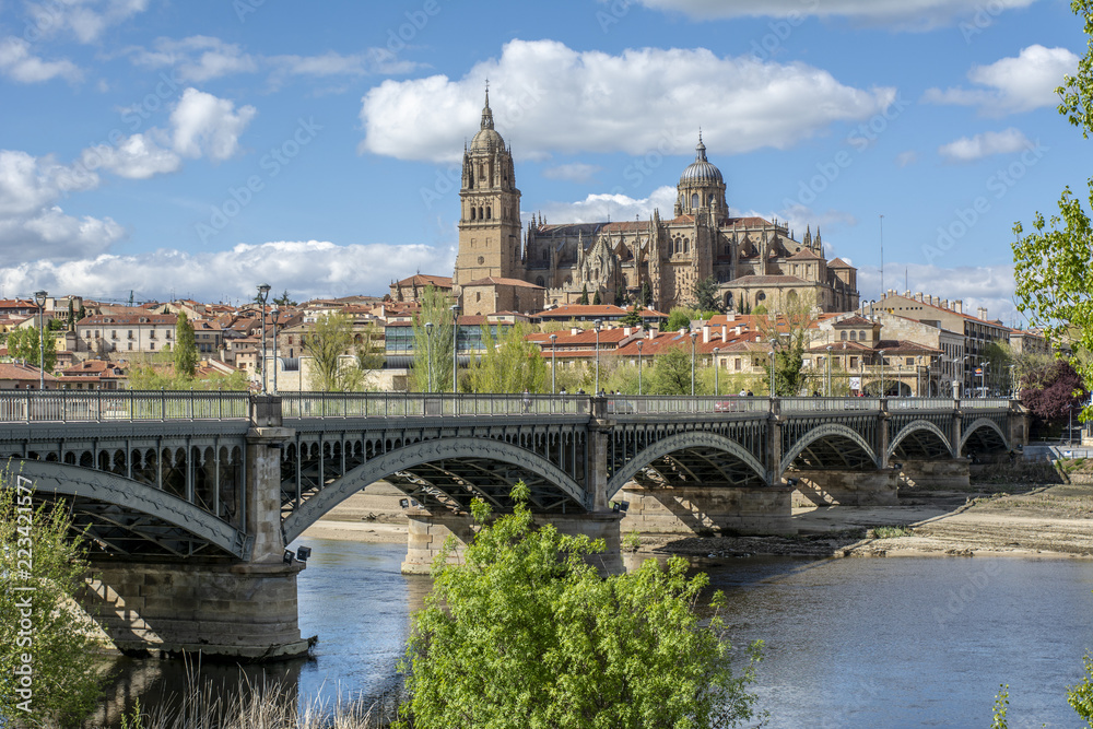 vista de las catedrales de Salamanca,  desde el rio Tormes. 