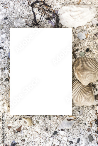 Blank frame for stationery beach sand and seashell theme