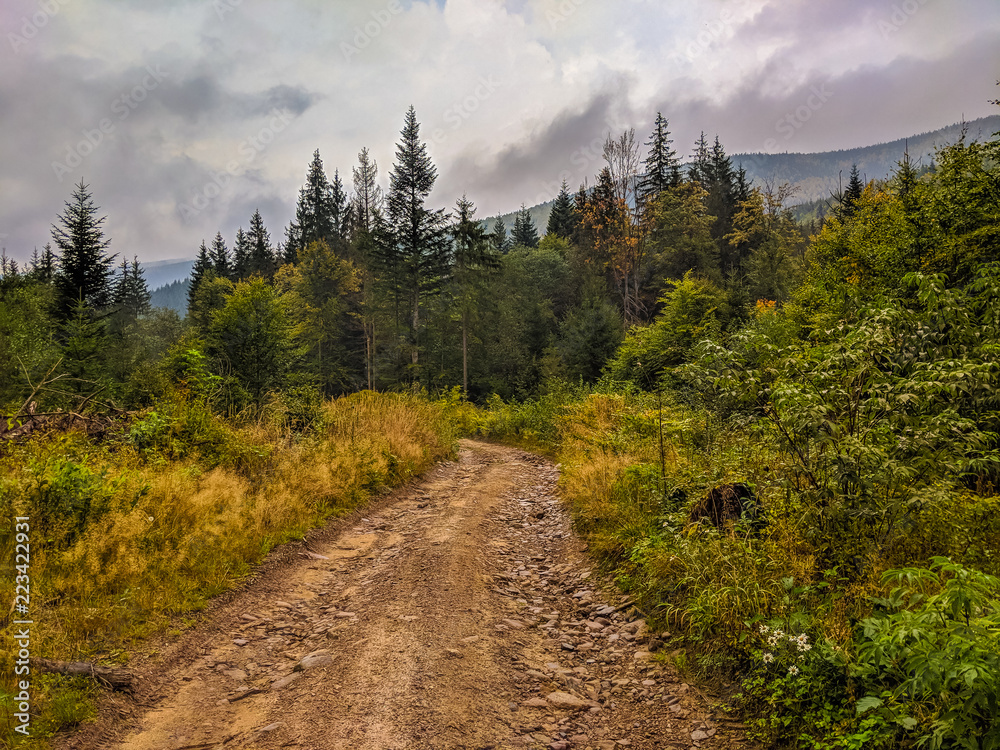The Carpathian mountains landscape during mist in the autumn season The Carpathian mountains landscape during mist in the autumn season