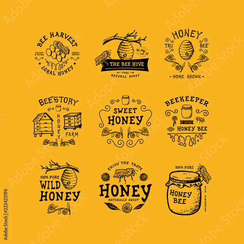 Set of badge Honey. Hand drawn bee, flower, hive, glass jar. Label logo template. Design fashion apparel print. Graphic vintage illustration.