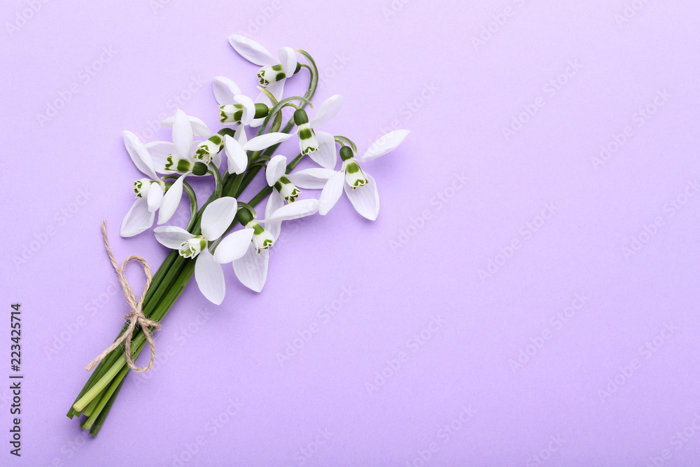 Bouquet of snowdrop flowers on purple background