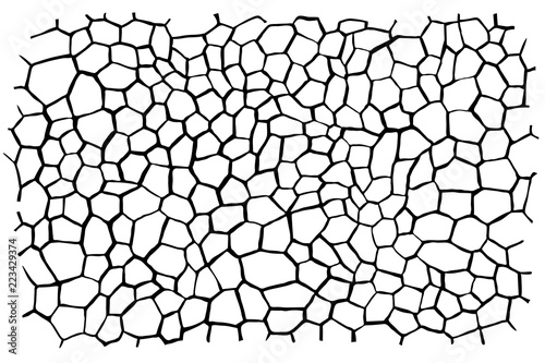 Wild stone texture
