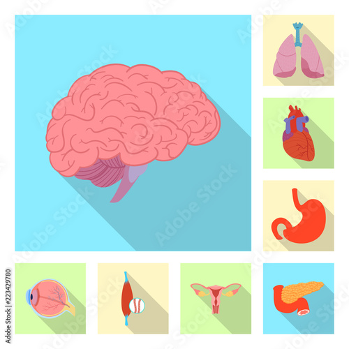 Isolated object of body and human icon. Set of body and medical stock vector illustration.