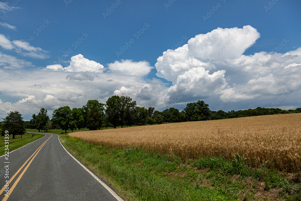 Fototapeta premium Summer clouds