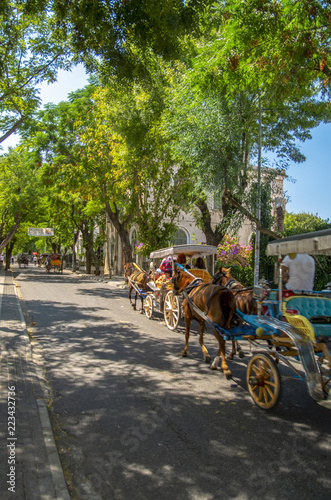 Buyukada Island street view. Coach and Horses at Buyukada, Princes Islands district of Istanbul © blackdiamond67