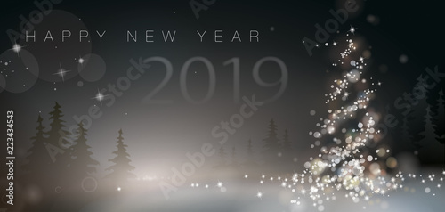 HAPPY NEW YEAR 2019