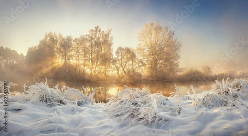 Obraz na płótnie Winter nature landscape at sunrise. Frosty trees in morning sunlight. Christmas background. w salonie