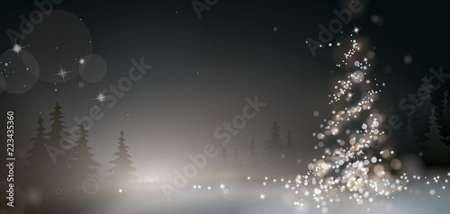 DÉCOR DE NOËL NOCTURNE