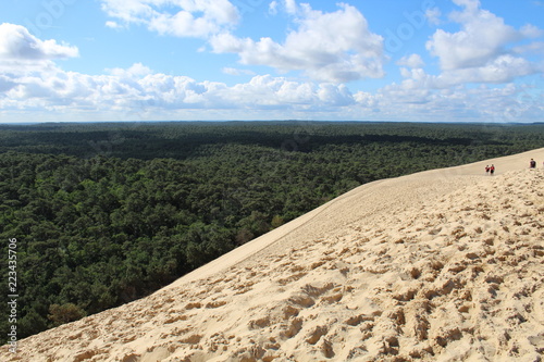 Dust sand dunes sea forest