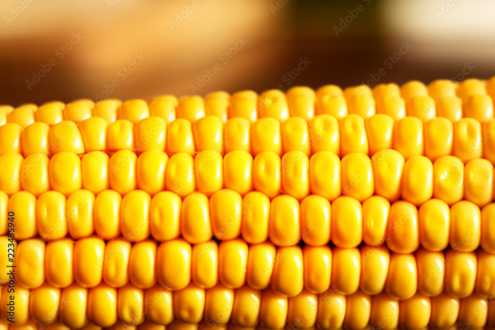 Fototapeta premium yellow sweet corn grain and a cob in the background.