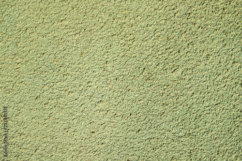 Textured surface coat plaster walls green color with yellow impregnations