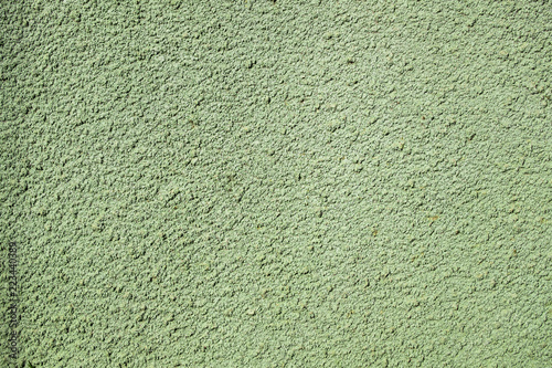 Textured surface coat plaster walls with mint shade