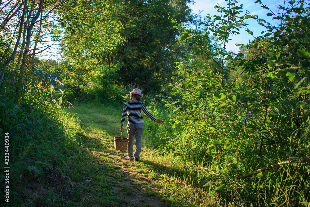 Young girl walking on a path through green woods carrying a birchbark basket Young girl walking on a path through green woods carrying a birchbark basket