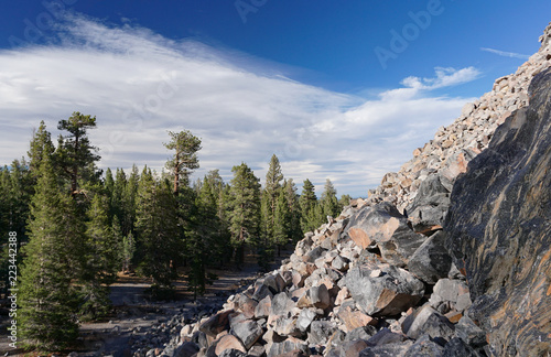 The steep, rocky slope of Obsidian Dome in California’s Sierra Nevada mountains, towering above a border of Ponderosa pines, is at 8,556 feet elevation. White clouds in a blue sky.
