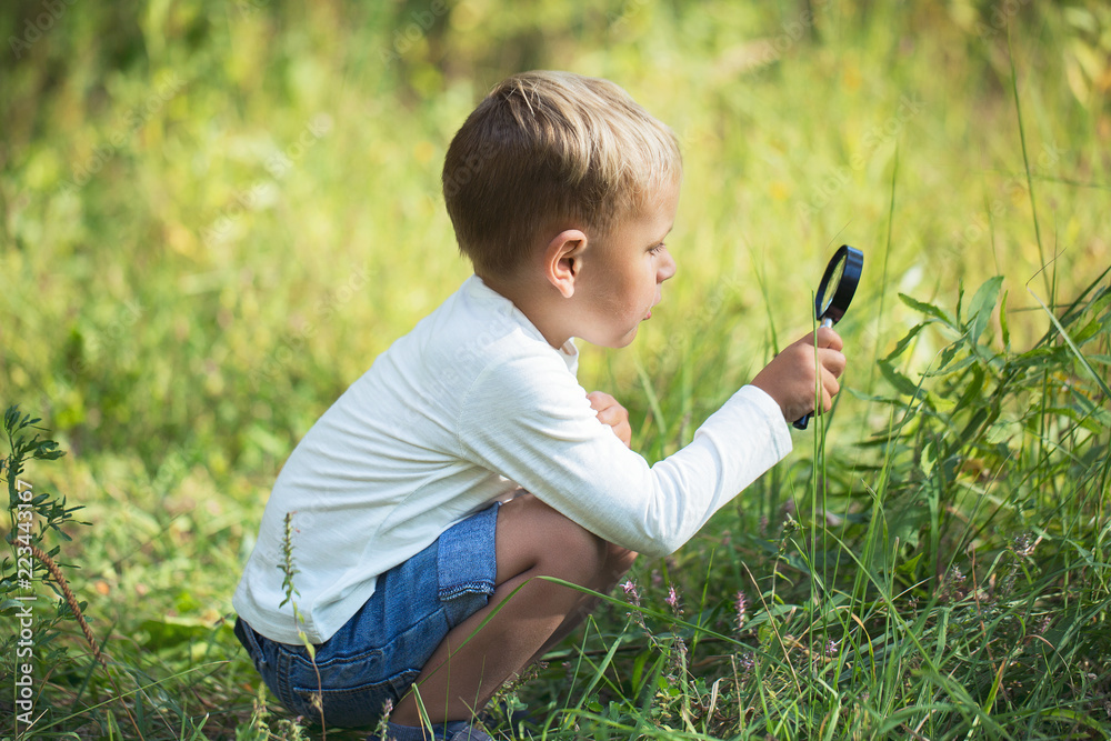 A small boy explores with a magnifying glass plants and insects A small boy explores with a magnifying glass plants and insects