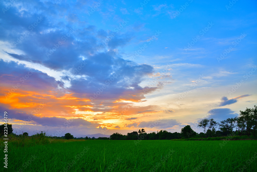 Green rice fields with sun set over the mountain in the evening, countryside of Thailand.