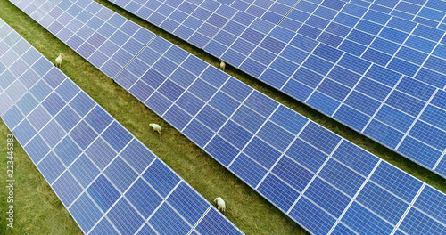 champs de panneaux solaire dans une ferme solaire avec splendide vue aérienne (drone) 