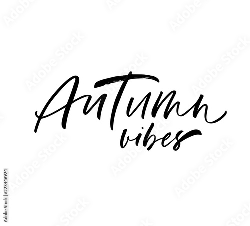 Autumn vibes card. Hand drawn brush style modern calligraphy. Vector illustration of handwritten lettering. 