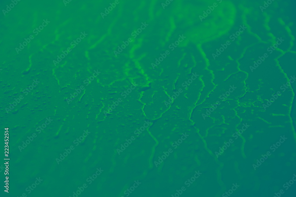 water drops on green background texture water drops on green background texture
