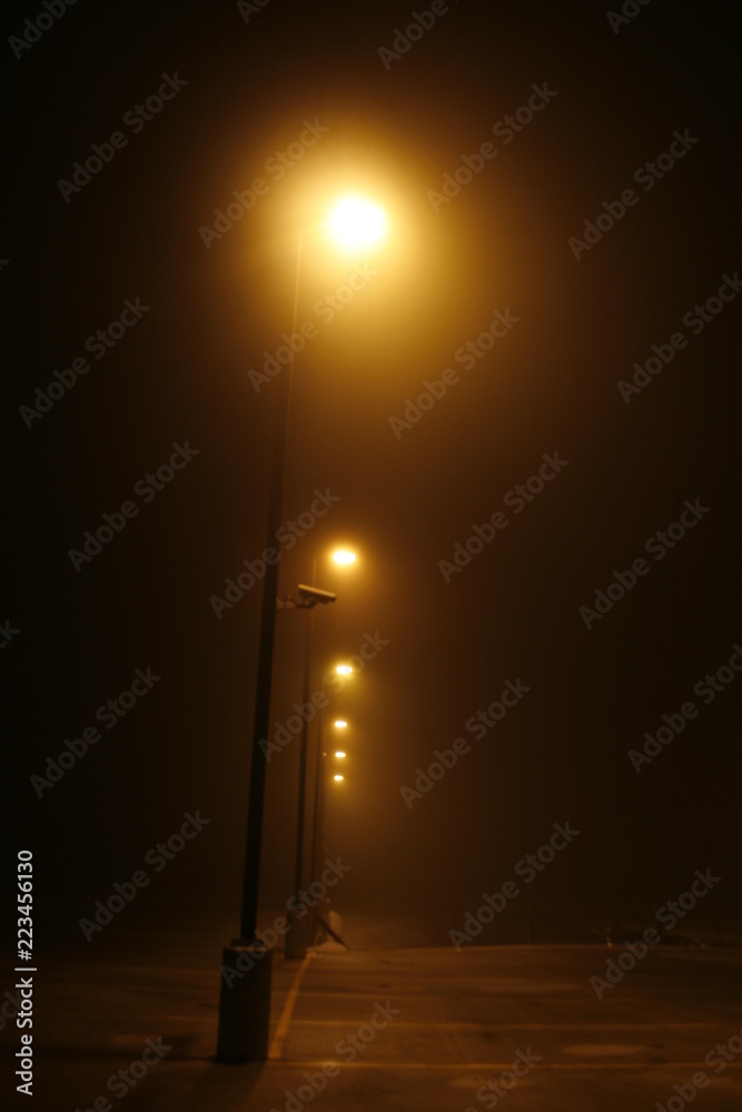 Street lamps in a fog