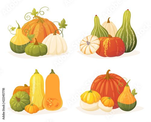 Colorful pumpkin set