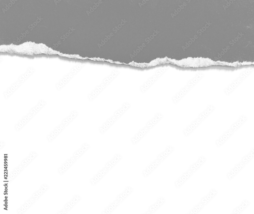 pieces of torn paper texture background, copy space. pieces of torn paper texture background, copy space.