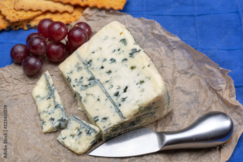 Blue cheese made from cow milk with Penicillinum mold, tasty soft cheese with specific odor Blue cheese made from cow milk with Penicillinum mold, tasty soft cheese with specific odor