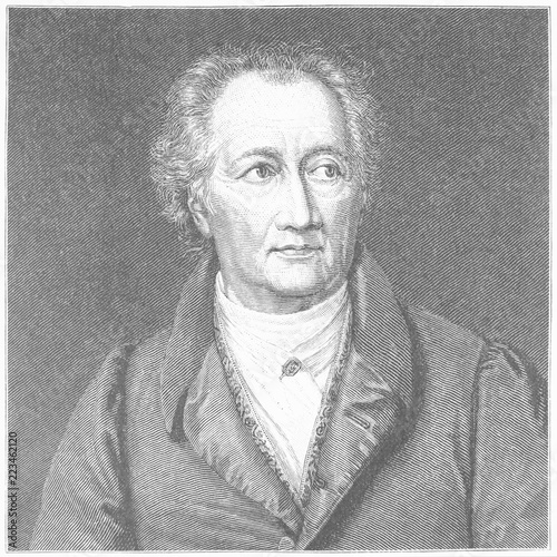 Johann Wolfgang Goethe, 1828 © driesen-verlag.de