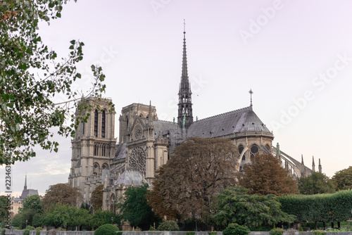 Notre Dame Flying Buttresses