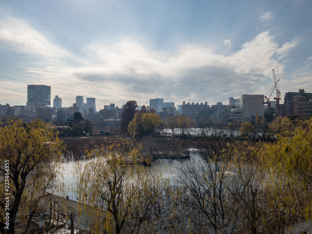 Fototapeta premium 池越しに見える街並み