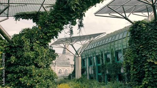 Park at the Library of the Warsaw University, summer 2018 photo