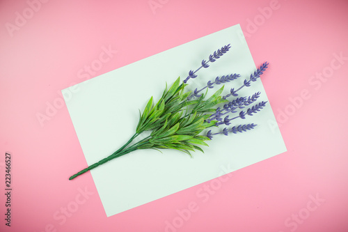 flowers on Pink background
